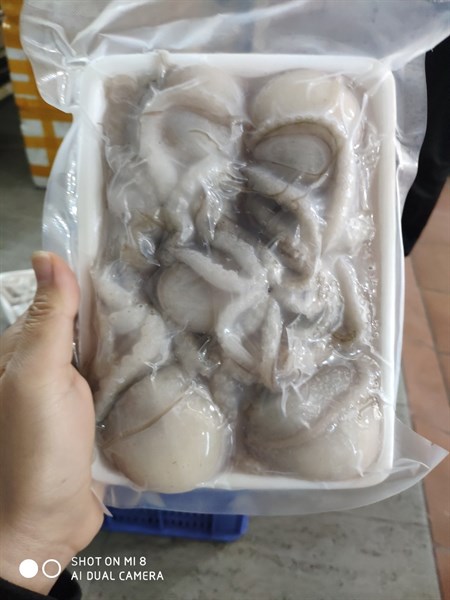 Tuộc trứng ( 1kg )