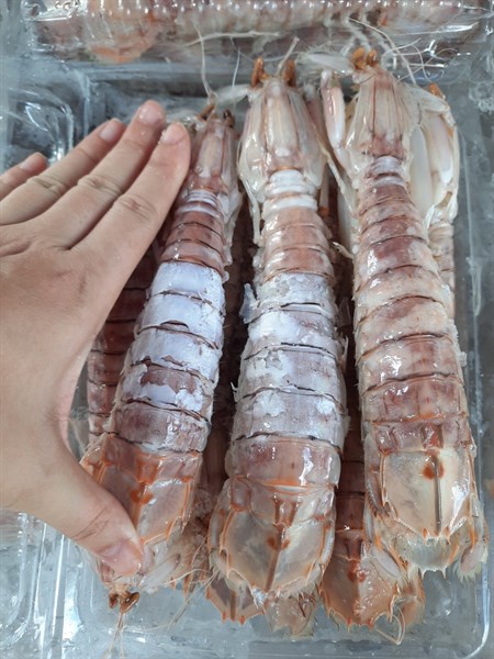 Bề bề hấp sẵn ( 1kg )