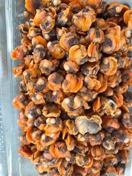 Ruột sò huyết