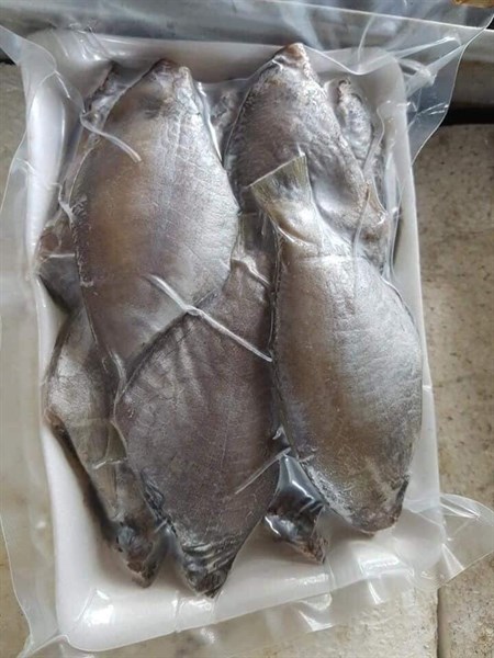 Cá đội đèn