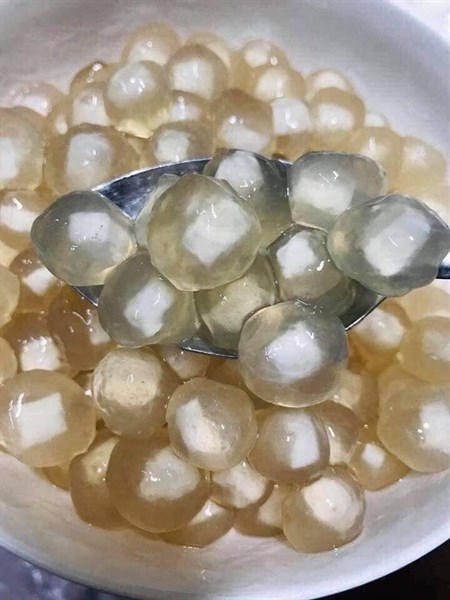 Chân trâu dừa