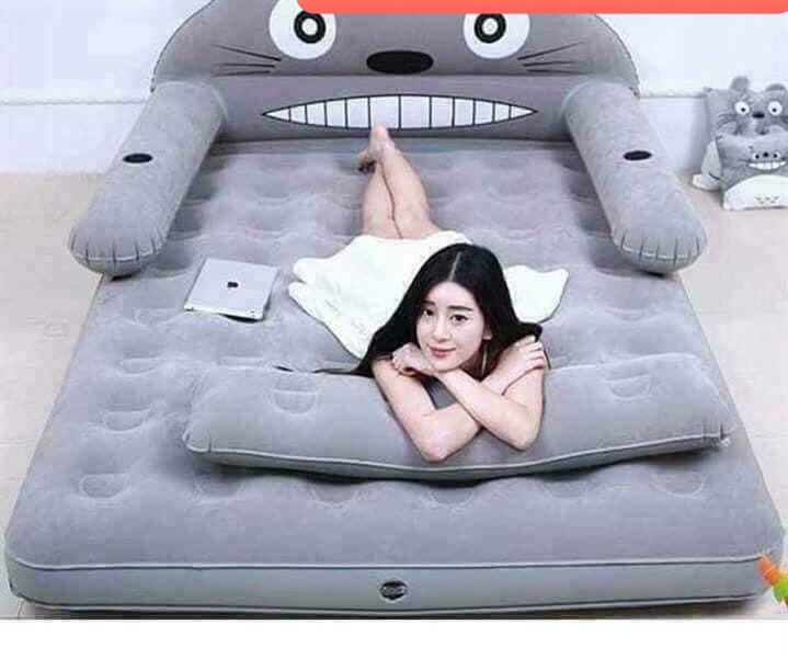 Giường hơi hình thú 1t m5