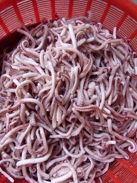 Râu mực tươi ( 1kg )