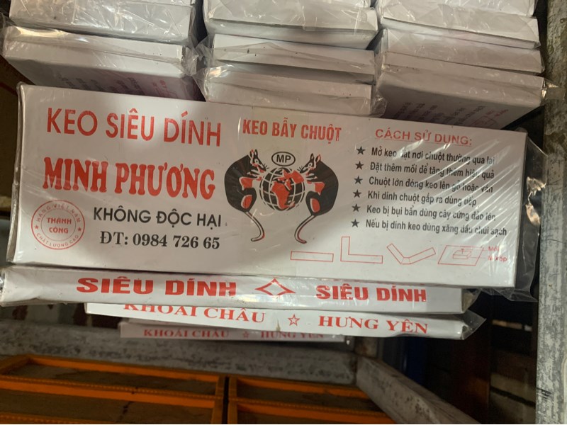 Miếng dính chuột vn