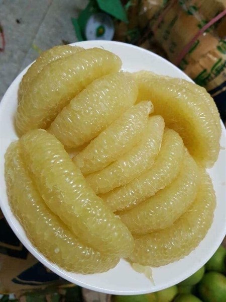 Bưởi 6-8