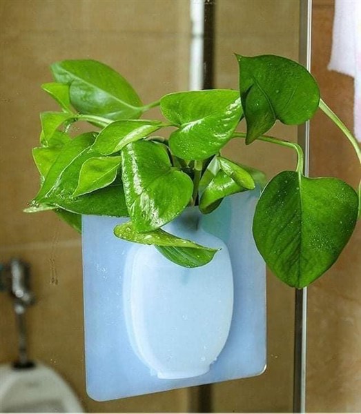 Lọ hoa dán kính