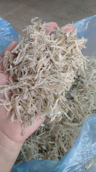 Cá ngần