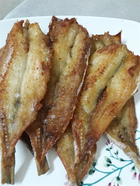 Cá mối ( 1kg )