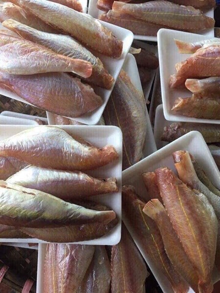 Cá hồng