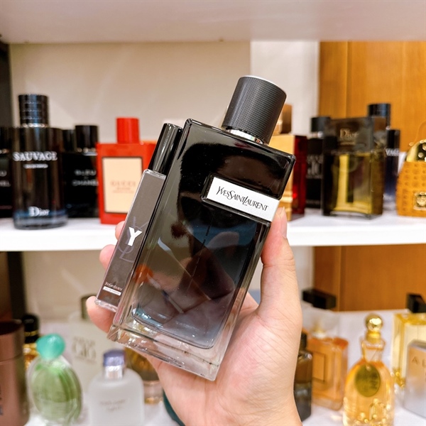 [CHIẾT 10ML] YVES SAINT LAURENT Y EDP