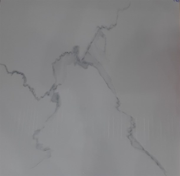 011993 - Gạch 100 x 100