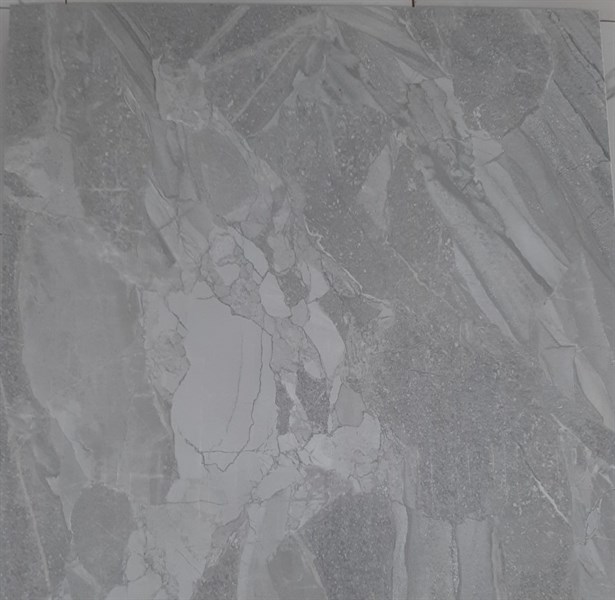 011991 - Gạch 100 x 100