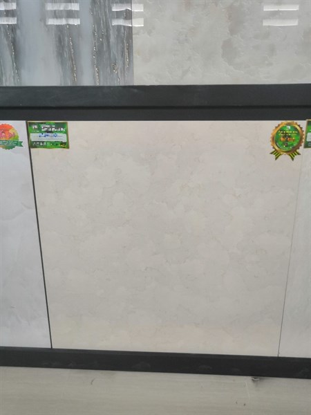 008246 - Gạch 100 x 100