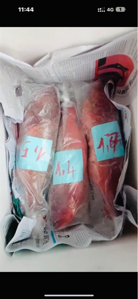 Cá Mú Đỏ Câu Đảo Phú Quý( Cân Kg)