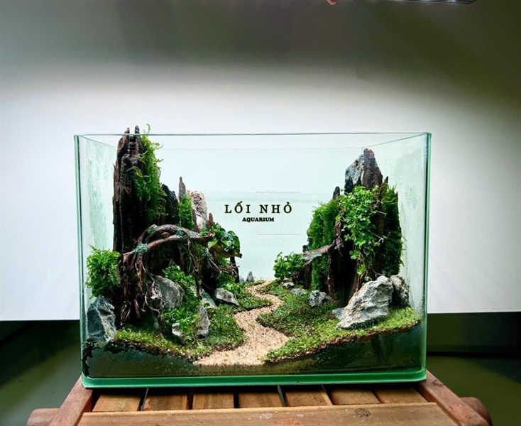 COMBO Bonsai núi đá (gồm đèn, hồ + thiết kế, lọc, quạt, hẹn giờ)