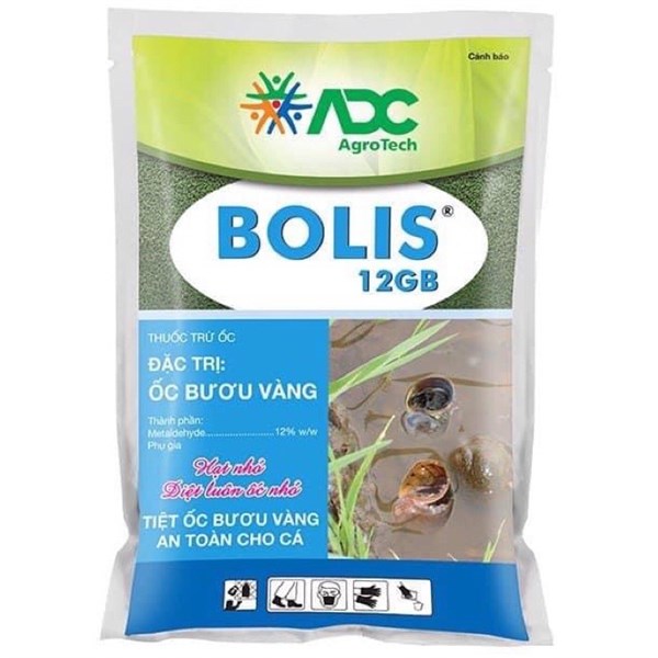 Ốc Bolis 12GB /1KG