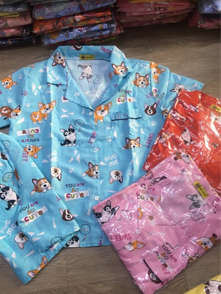 Mi bộ kate TNQN Boo Boo Corgi cute
