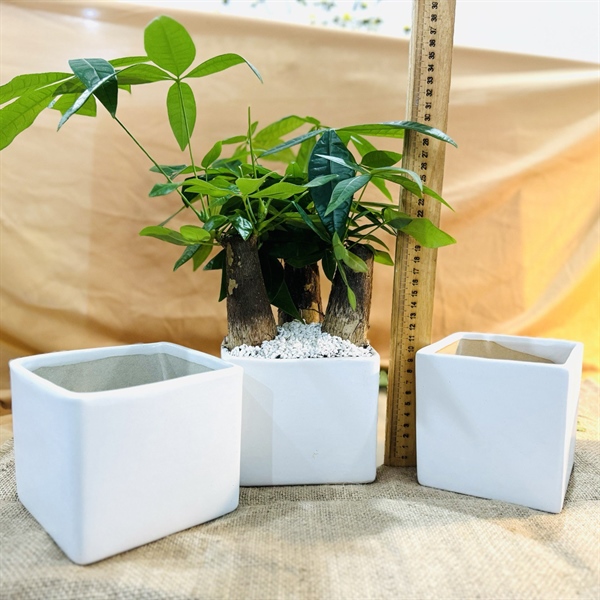 Châu GỐM hình VUÔNG, gốm Bát Tràng - Chậu trồng cây cảnh, cây để bàn, trồng hoa