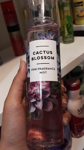 Xịt body BB Catus blossom 236ml