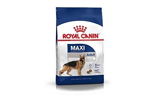 Thức ăn hạt Maxi | Royal Canin