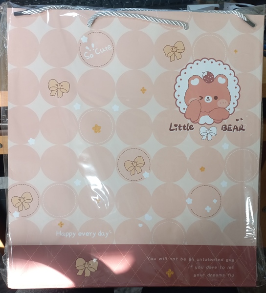 TÚI GIẤY 2 DÂY ĐẠI