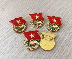 Huy hiệu đoàn/ đội