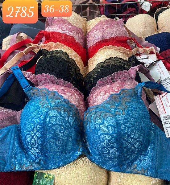 2785 - Áo lót gọng