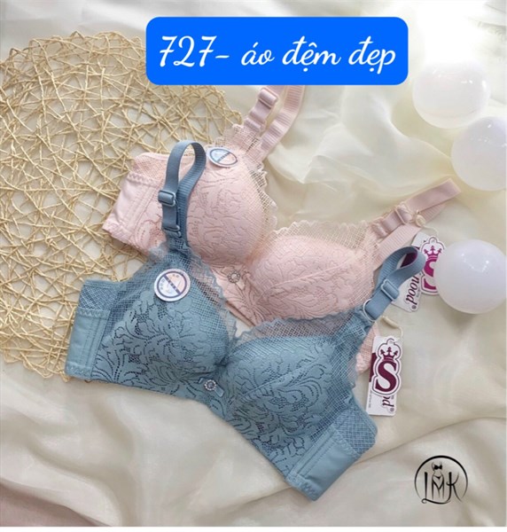 727-(319)-áo đệm đẹp