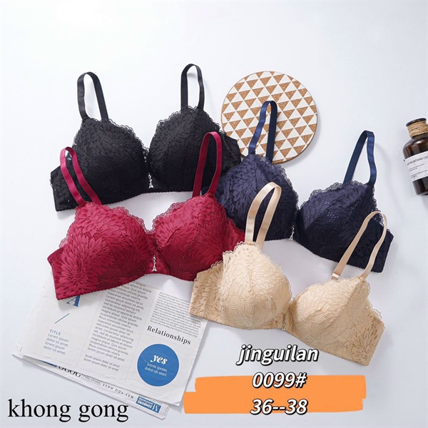0099- áo đệm ko gọng