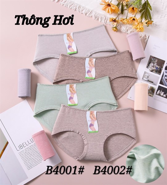 4001 q lót cotton thông hơi