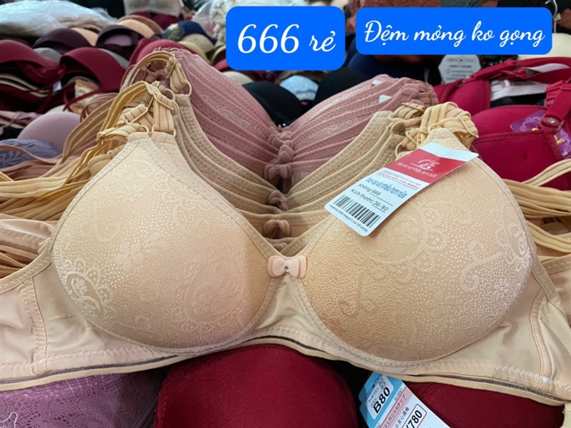 666 -áo gấm mỏng ko gọng