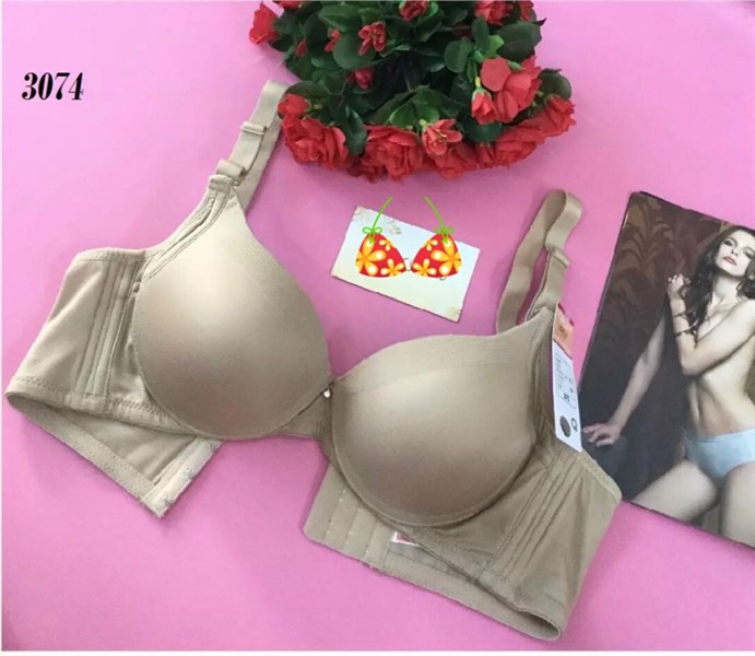 3074 áo trơn nâng