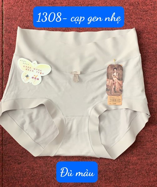 1308- q cạp gen đúc