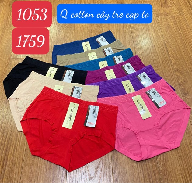 1759- q lót cotton cạp to