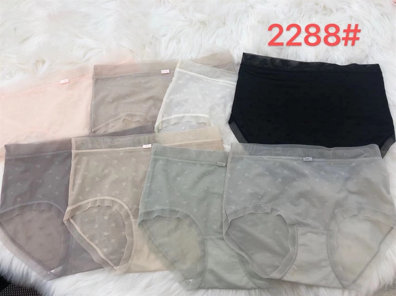 2288- q nhẹ dáng trẻ