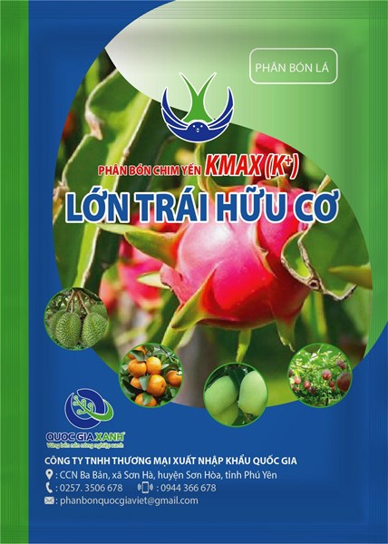 LỚN TRÁI HỮU CƠ 25gr