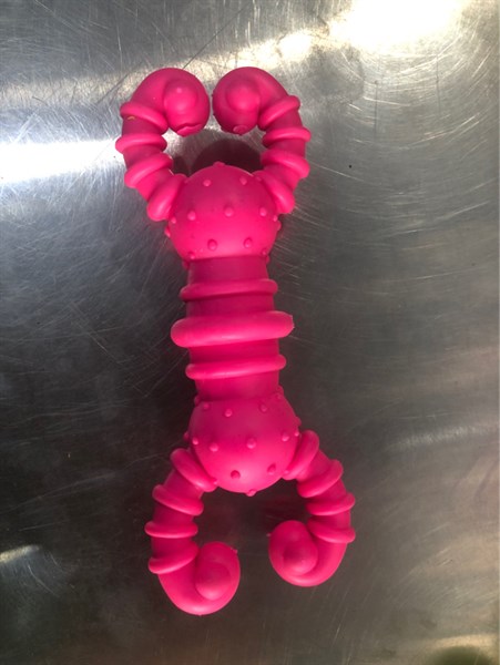 XƯƠNG GẶM TÔM HÙM