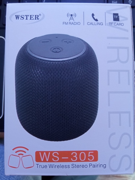 Loa blluetooth WS-305