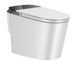 Bồn cầu thông minh