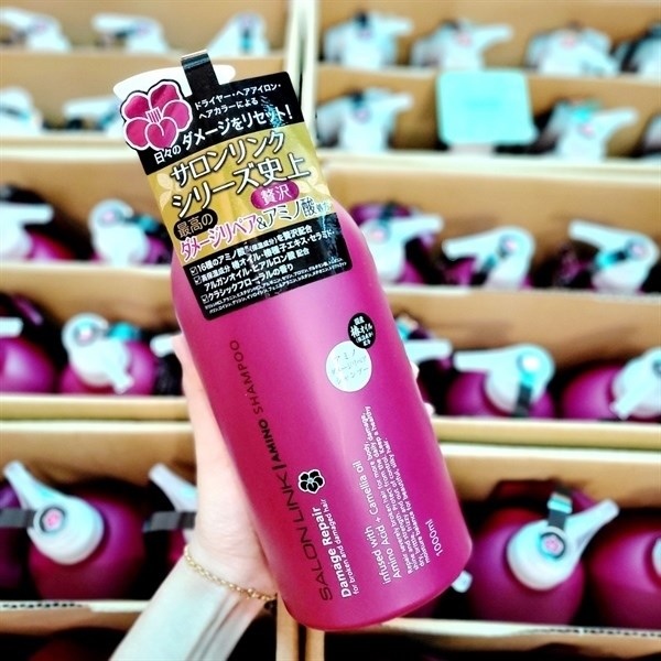 DẦU GỘI HOA TRÀ PHỤC HỒI TÓC HƯ TỔN SALON LINK 1000ML