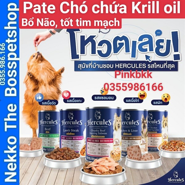 Pate chó Hercules