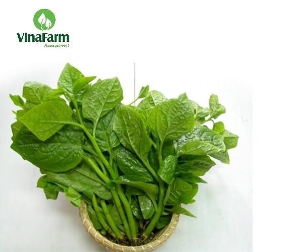 Rau Mồng Tơi 1kg