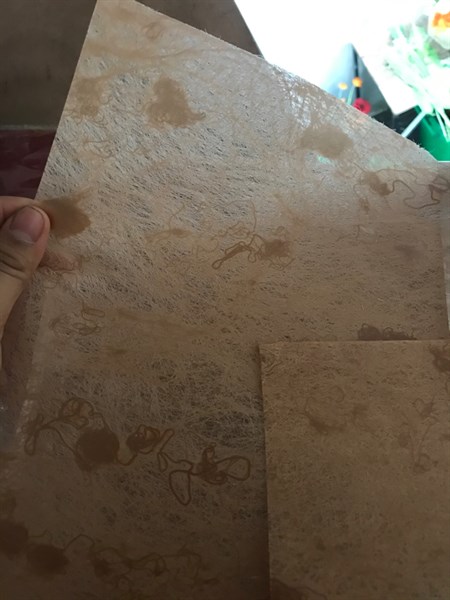 Giấy