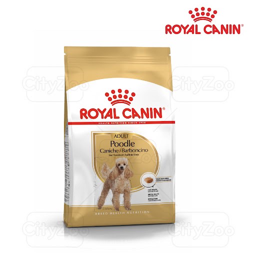Royal Canin Poodle chó lớn 500g