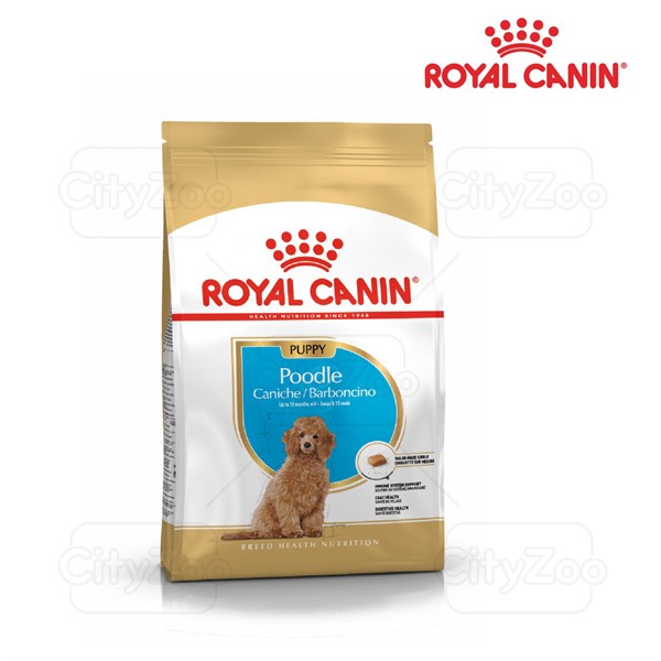 Royal Canin Puppy Poodle chó con 500g