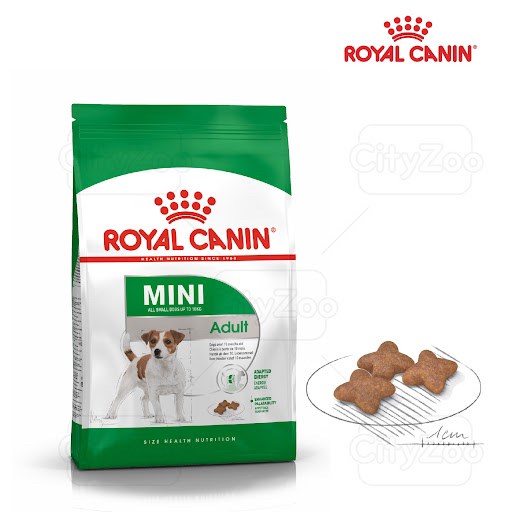 Royal Canin Adult chó lớn giống nhỏ size 4-10kg túi 800g