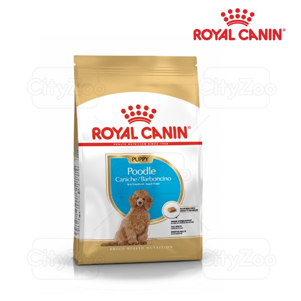 Royal Canin Puppy Poodle Chó con 1,5kg