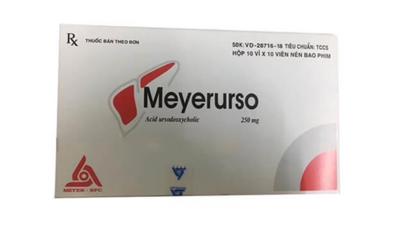 Meyerurso Ursodeoxycholic 250 Meyer Bpc (H/100v)