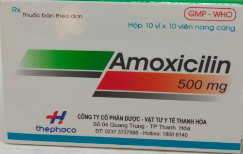 Amoxicillin 500mg Thephaco H/100V