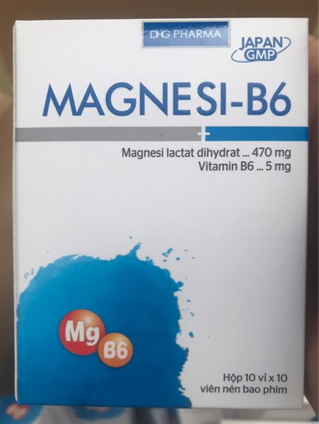 Magne B6 DHG/H100v